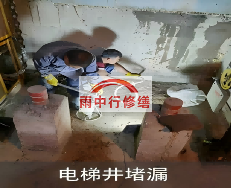 梧州星雨华府电梯井堵漏案例
